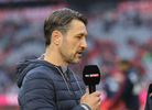 03.11.2018, FC Bayern Muenchen - SC Freiburg

Hier nur Vorschaubilder !